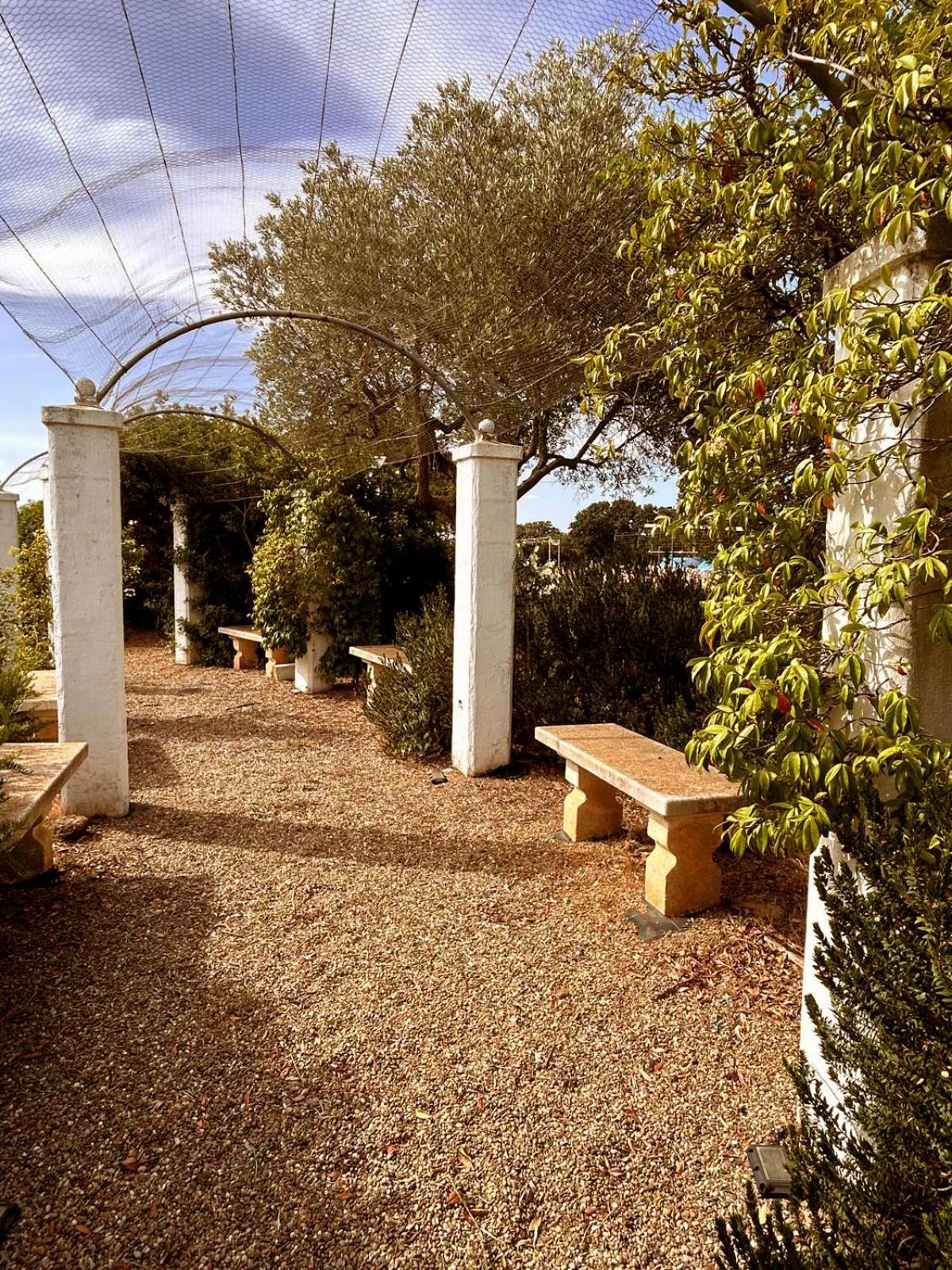 Agriturismo La Civetta Gioia Del Colle Extérieur photo